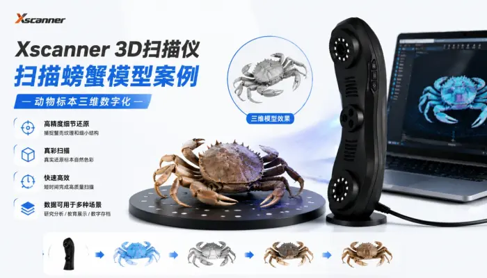 Xscanner 3D扫描仪扫描螃蟹模型案例 | 动物标本三维数字化